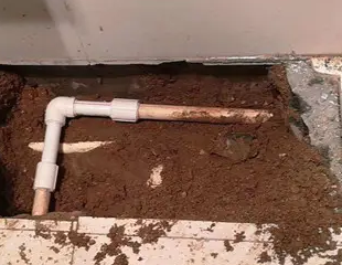 三山测漏水哪家好