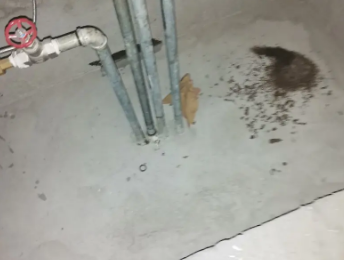 三山卫生间测漏水价格明细