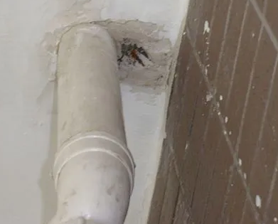 三山漏水检测哪家好